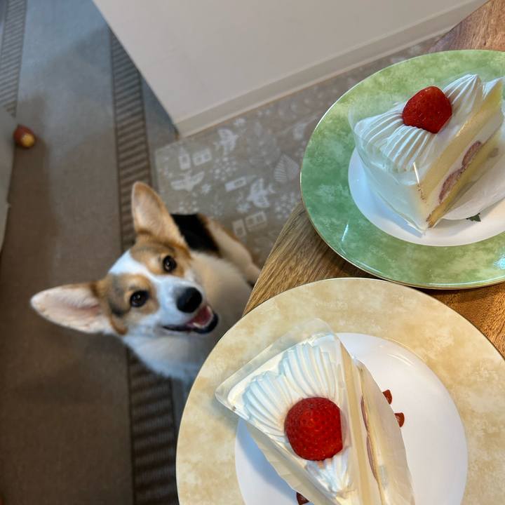 350de72a 05e4 4a25 8358 fded9b2ef4da 1771069390164