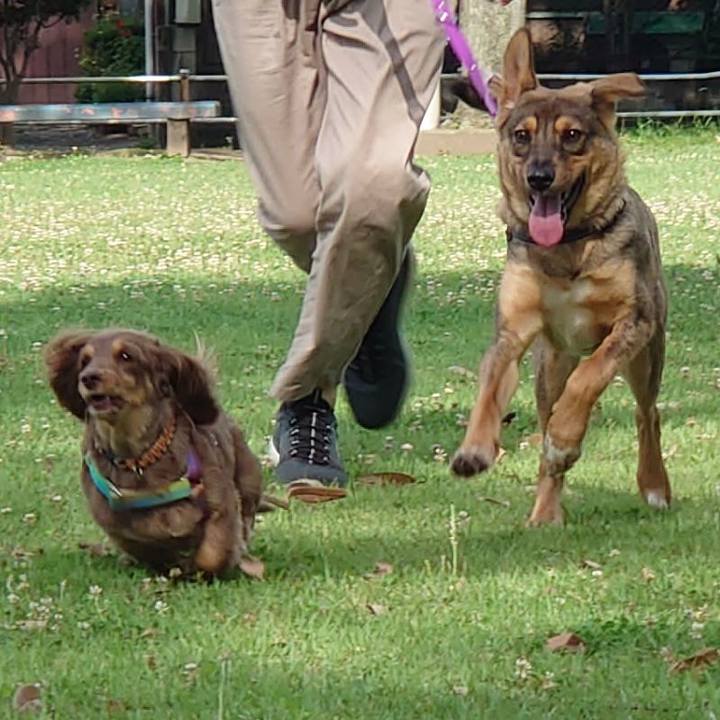 350df4c2 84cd 4438 81dc 7d4f279ab716 1687045520123