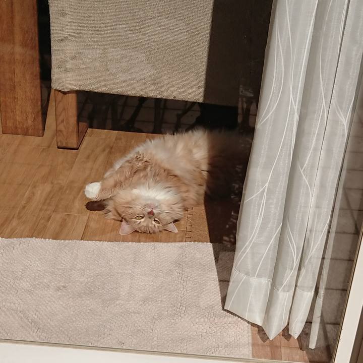 350e1a1b 4210 4576 a01b ec38288d2ef8 1538191719537