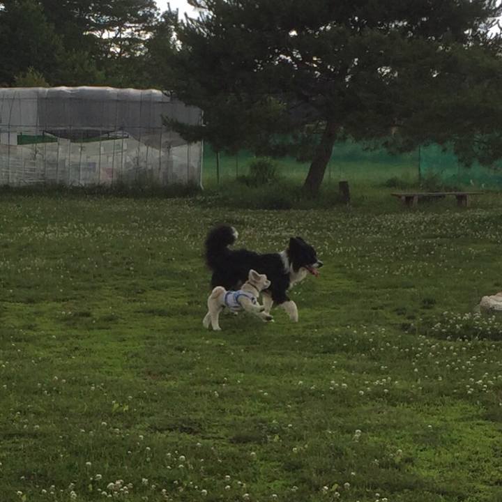 350e4fbb c138 404e 95fa cfe75083721b 1530968769405