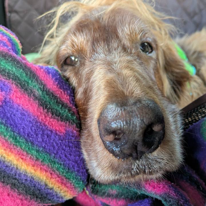 350e8112 e7ee 48a9 a17a 9c21119c9247 1766188241544