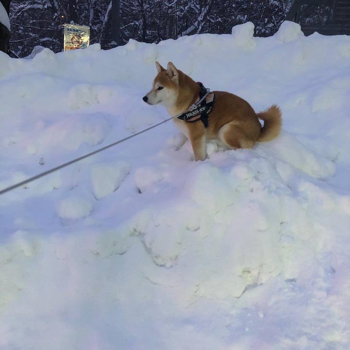 350e8eac db9f 4573 9775 cf1e36f114e8 1580983525581