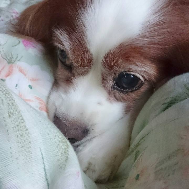 350ea8ce 1943 422e b076 c2d6570d6dfb 1531738498141