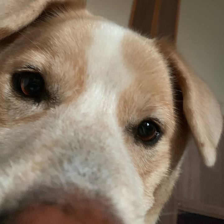 350ec877 8c5e 4e45 9c79 cb9caceb7467 1569853925558