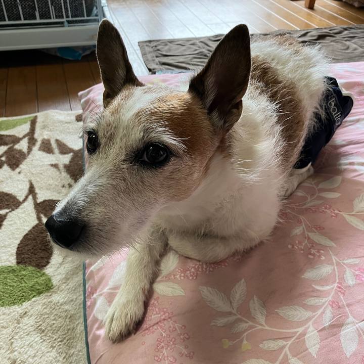 350ee244 216e 4445 8d00 b4634d21c8e5 1716506305058