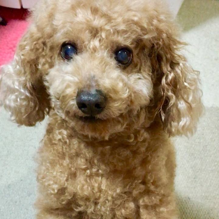 350ee93b 11bf 48b9 a31a 7b8743eac7f7 1529308307490