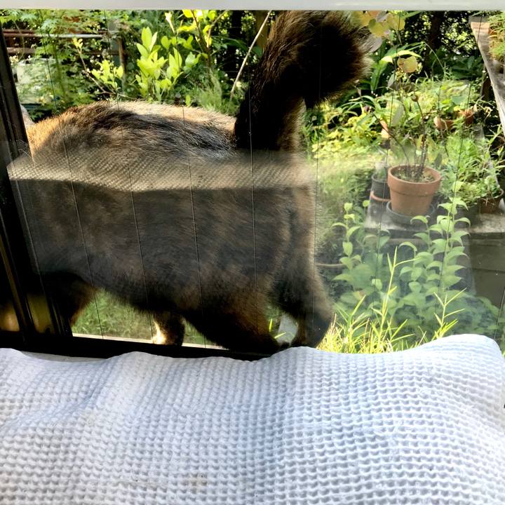 350f1668 b2b1 48d9 b956 5a142675f068 1565046399586