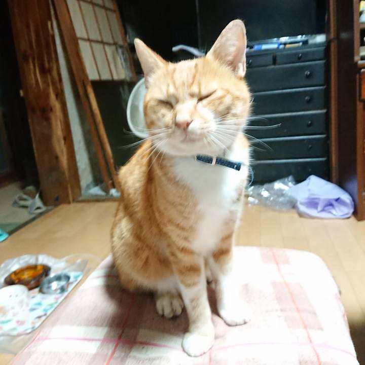 350f1e53 797d 489c a92c 23b54029e6e9 1600634062088