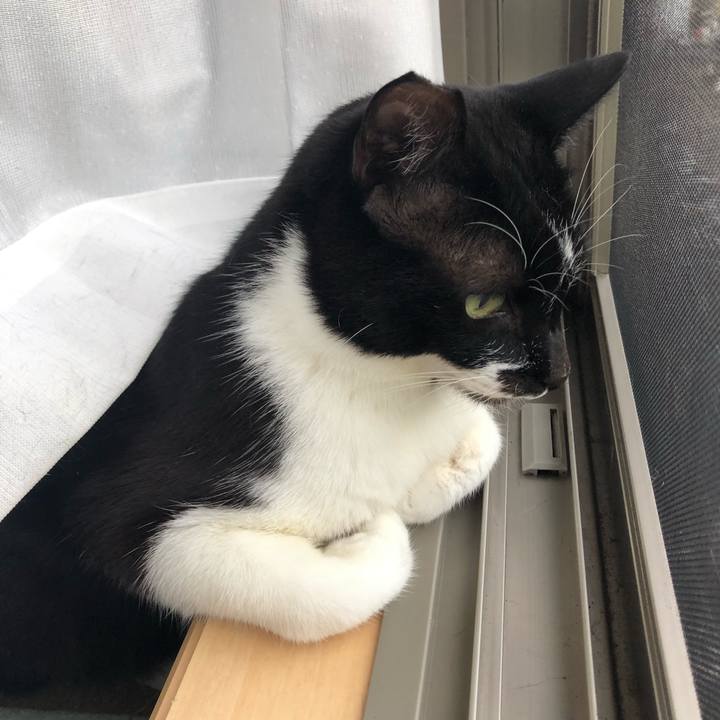 350fa62d 0521 4729 9717 639ab4e7a054 1651869452980