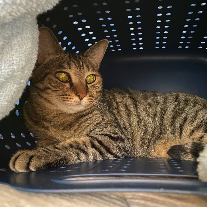 350fce1a 3f12 42b4 977e ffb9971982bd 1659456694613