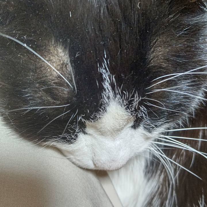 350ff45d c574 45dc 9e51 42c826e8db2a 1641101455304