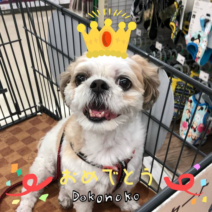 350ffabf aca0 470a 95ee d0064d1a4152 1685935514066