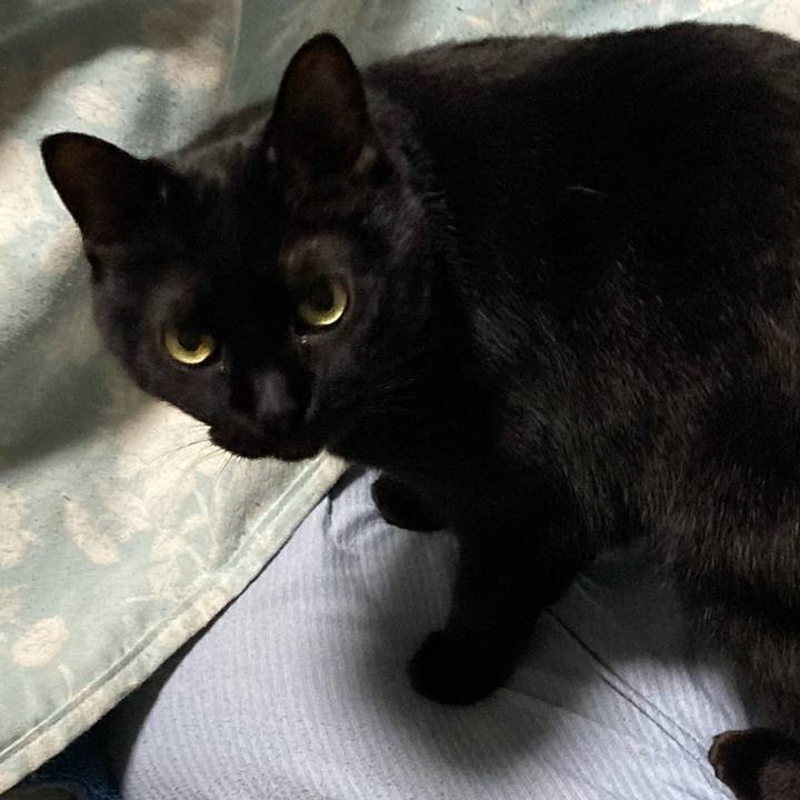 35101c94 0b0e 4ea0 8aaf f2f4675f1490 1773231285486