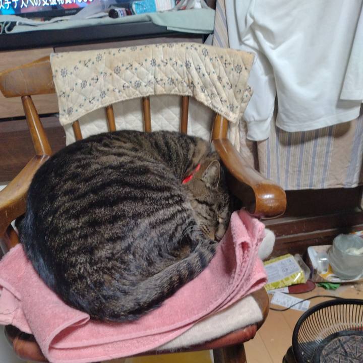 35104291 8ecd 42bc 8f3b 53aa400481fb 1705560291625