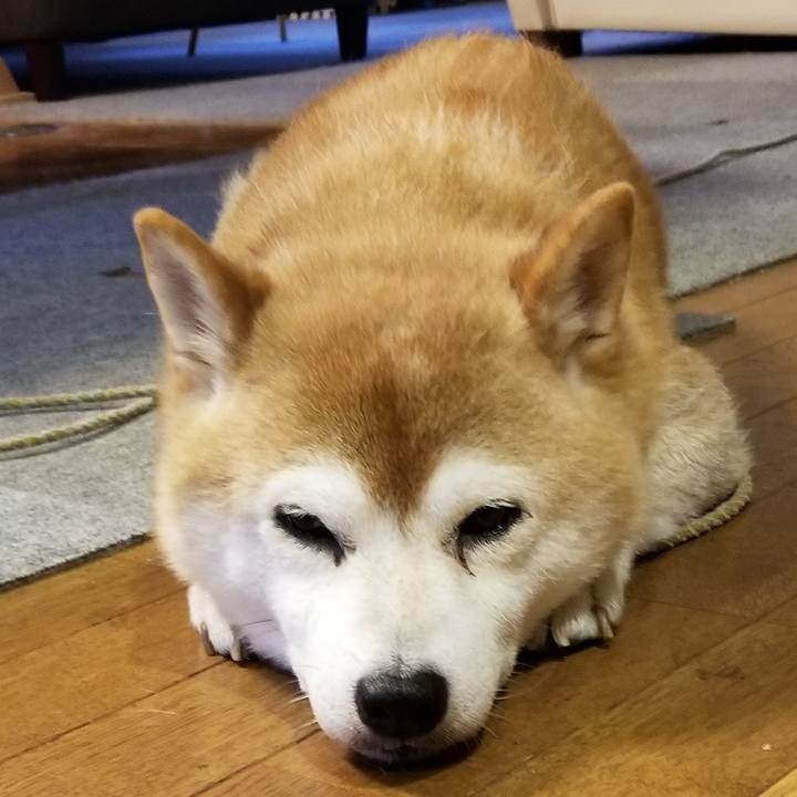 351055fa 8779 49e4 a900 7e4688cbb386 1627809321338