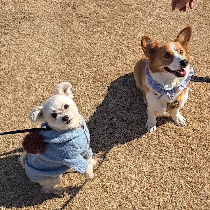 3510b332 1183 48aa bd64 101712ffbc26 1769944640970