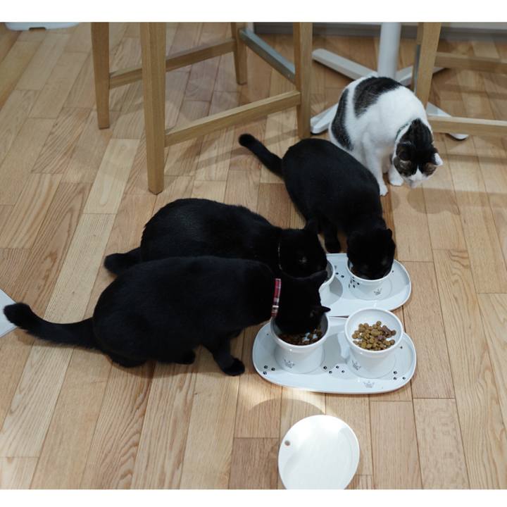 3510b963 d7b7 40ab abcc 6dd36ac9f9e7 1562112056647