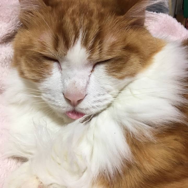 35110b28 820a 4d32 b185 917dfcc963a1 1539993048911