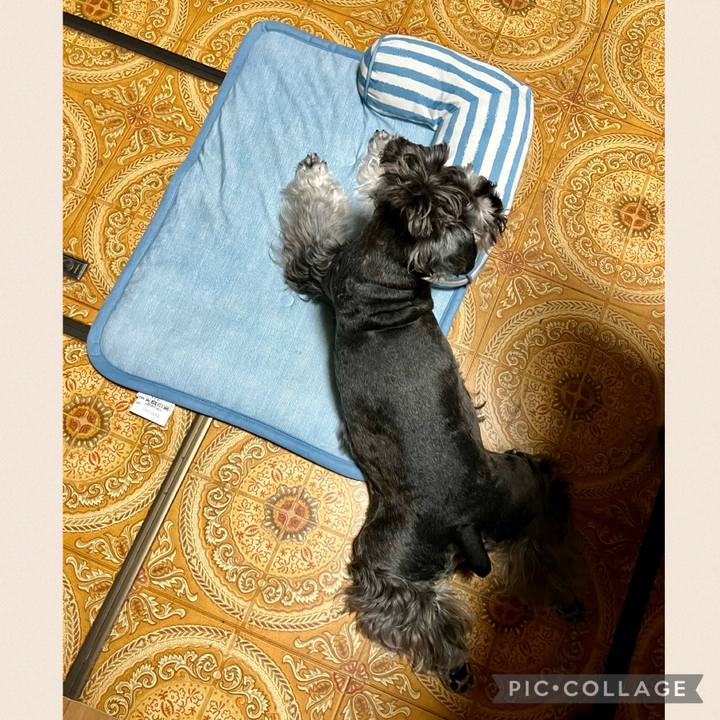 35111db6 eb9c 42c8 9593 b04e8c52843b 1718797915048