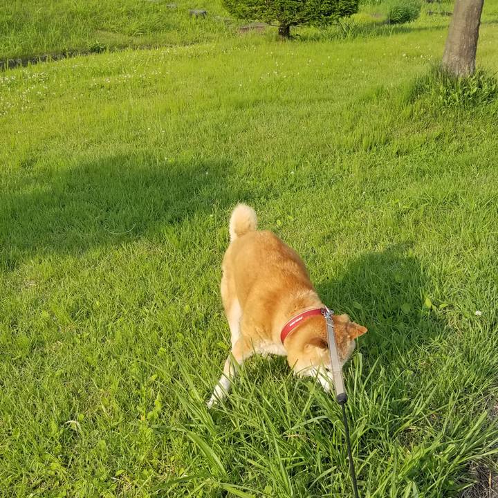 351127fd f486 459c a9a7 70a557942586 1750495161464