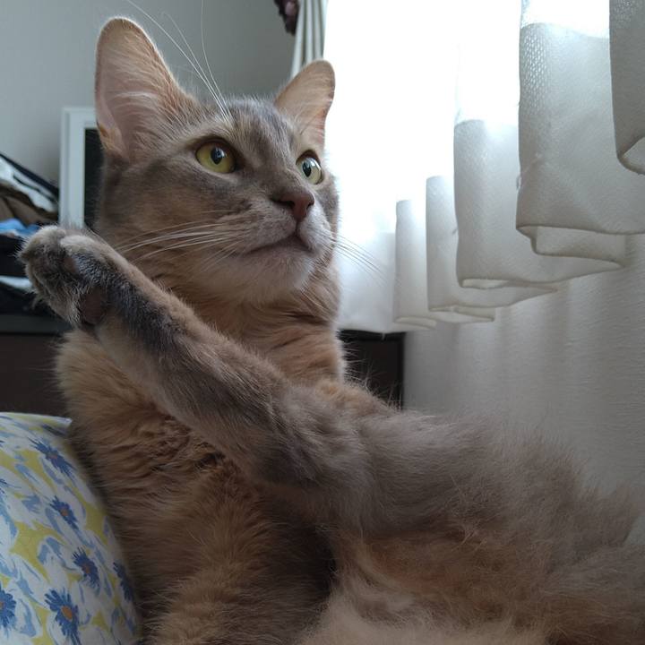 35113985 aa65 4b06 8c6b 45c7d620f18f 1598584671748