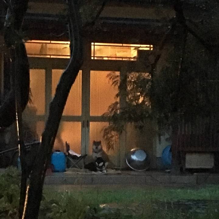 35115937 94a1 4d1b b137 84783c1576c9 1530796174776