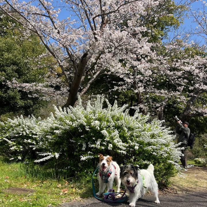 35116537 625e 4117 8894 be5814946af2 1774785012397