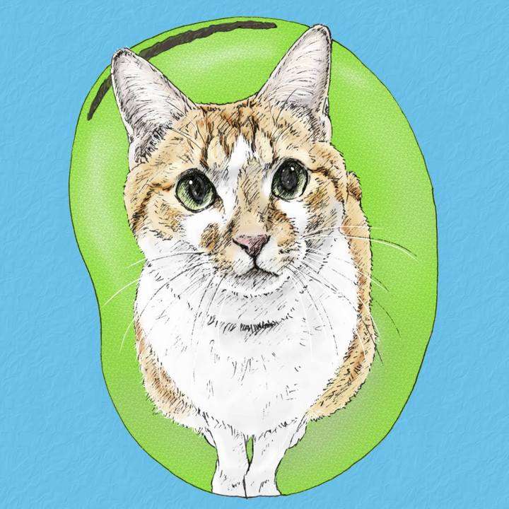 35118283 0095 45d3 98f9 97de8ab420ac 1582294591326