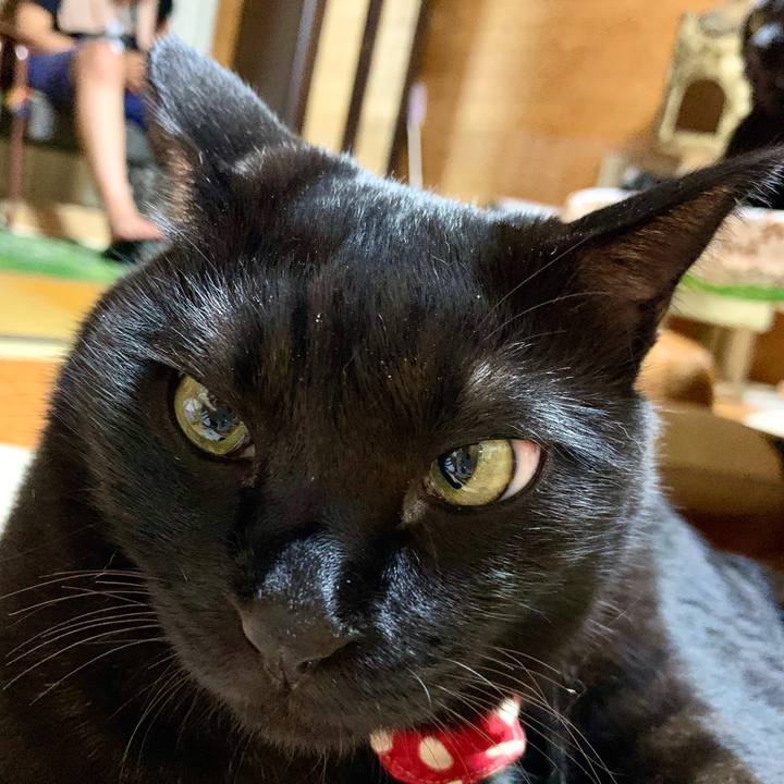 3511c821 59dc 48cf 8b2b db3c5ccba4a2 1597497857510