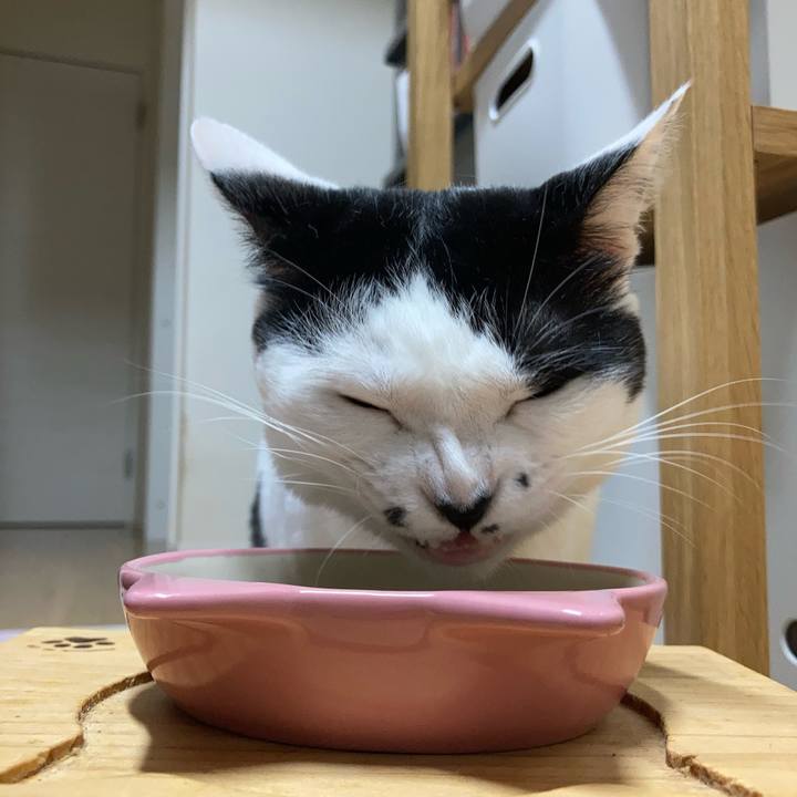 3511fcc5 5903 491c 9494 23d5a7dd9f54 1758055417413