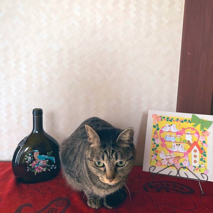 3512376f 7bbc 47b1 9e4a 1ba7a8704245 1585305549986