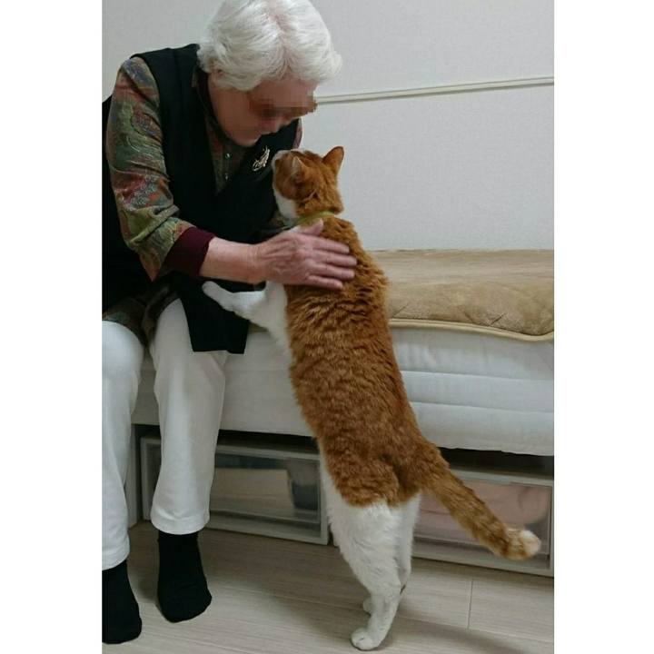 35125c11 9c97 495a 9a3b 10ab85f69096 1554715971504