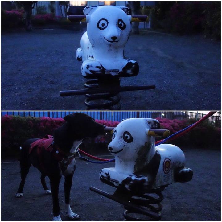 351299fa 5041 493c a4ca 8d3f167419f2 1588156052736