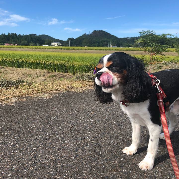 35131cdc f9d1 4605 8158 66440d2b9050 1537495374601