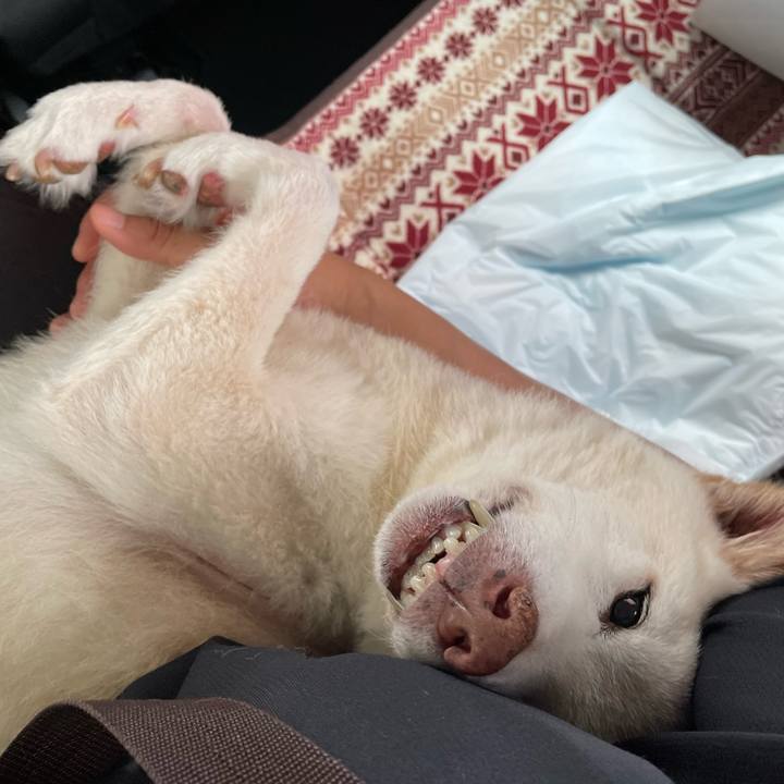 35133ab9 9a9e 42a9 8c07 3e82d0c22da8 1687445495688