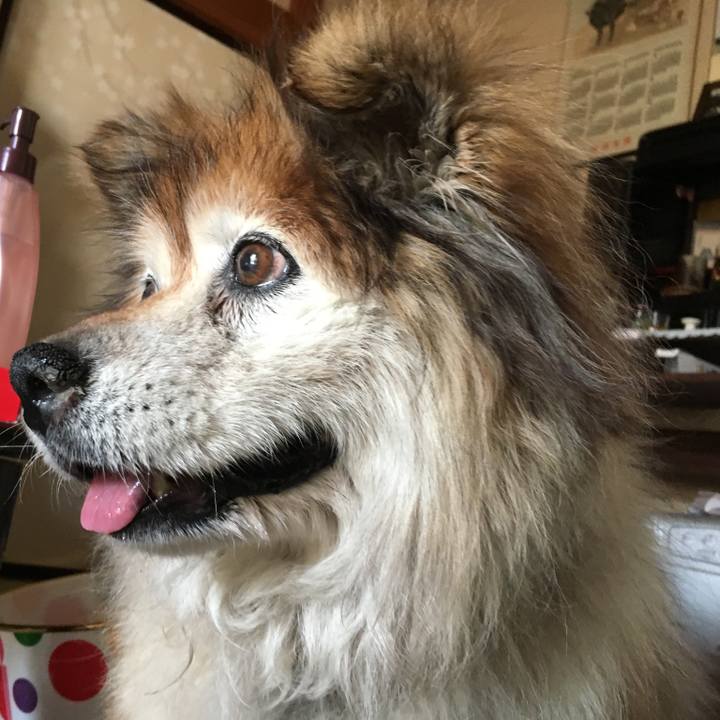 35133e62 9820 4a63 8ca9 c9a247a5ba46 1583975008806