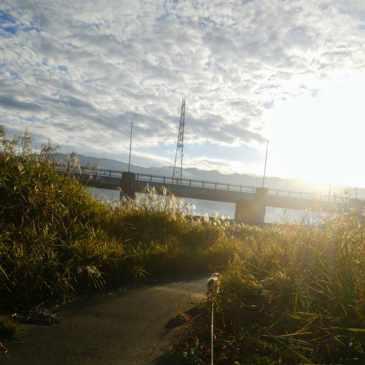 3513617d eec9 4b0a 9ecd a574b1b3db19 1541203040672