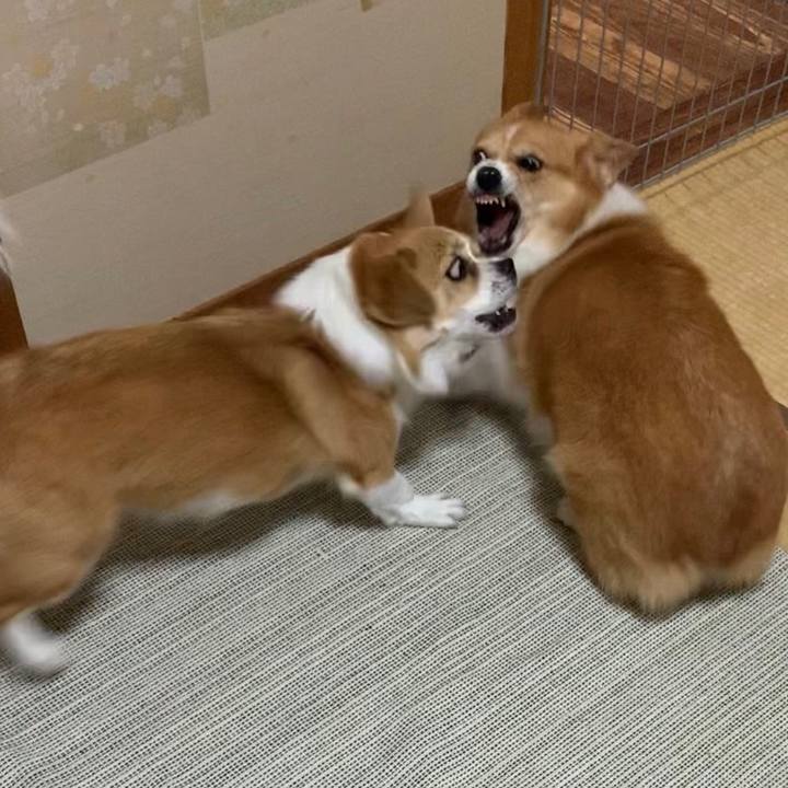 3513795f 48f7 41db 960b 98054cfb3356 1633055567830