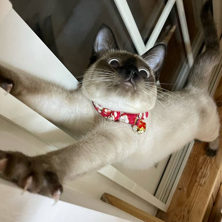 351385b9 f556 4441 9e1b e5b3fd9dcc65 1701547112239