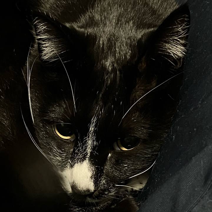 351392a0 5512 4f89 b7db f7014c9237d3 1706939947222