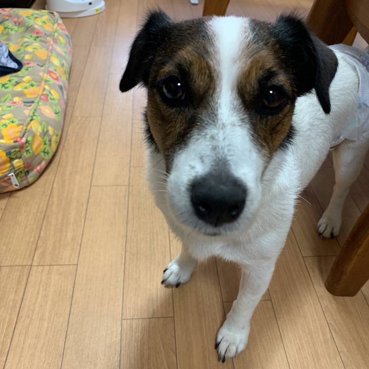 35139523 65e6 4675 9e0b dfb324a01894 1596933435499