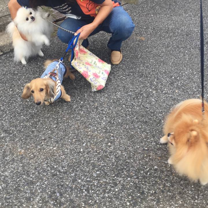 351396b0 d0b6 445a 8c97 f0dbc9822020 1569364530733