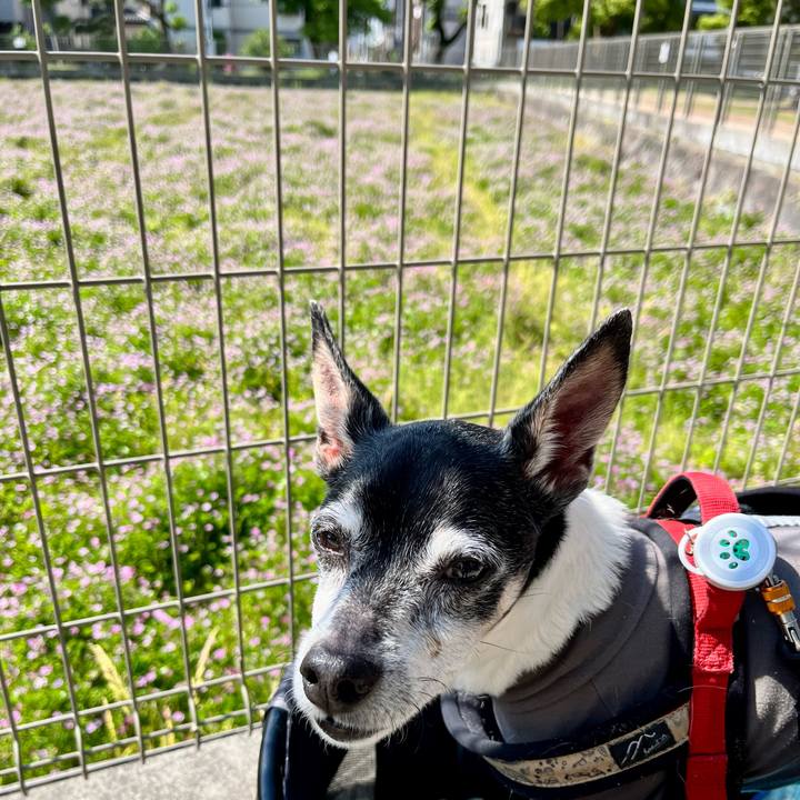 35139bce e233 46c7 bec3 7d67fa298878 1651717175495