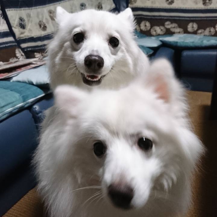 3513ca8e 8be5 4dd3 b036 4863cef17397 1578039931804