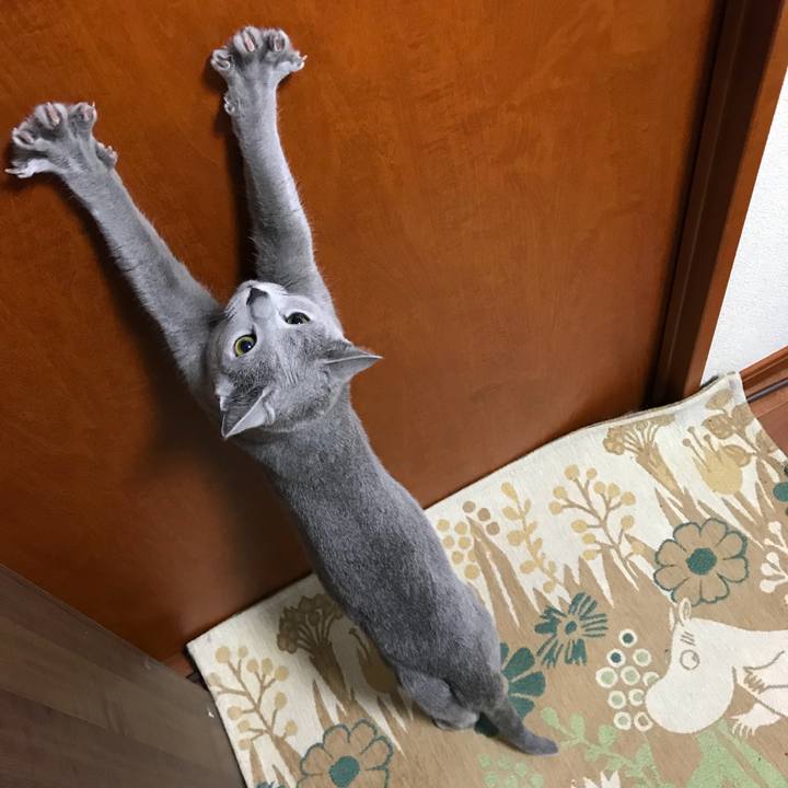 3513deaa 7fa2 4a7f af4a 66ca1ccd611c 1520516347486