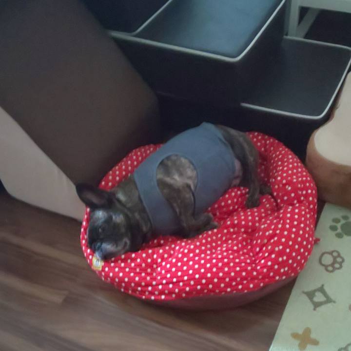 3513eb15 395e 44ba baa2 80935e3ef7d9 1684122556386