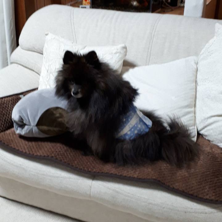 35140a18 8efe 441f b10c a13416a9fcc1 1517850802835