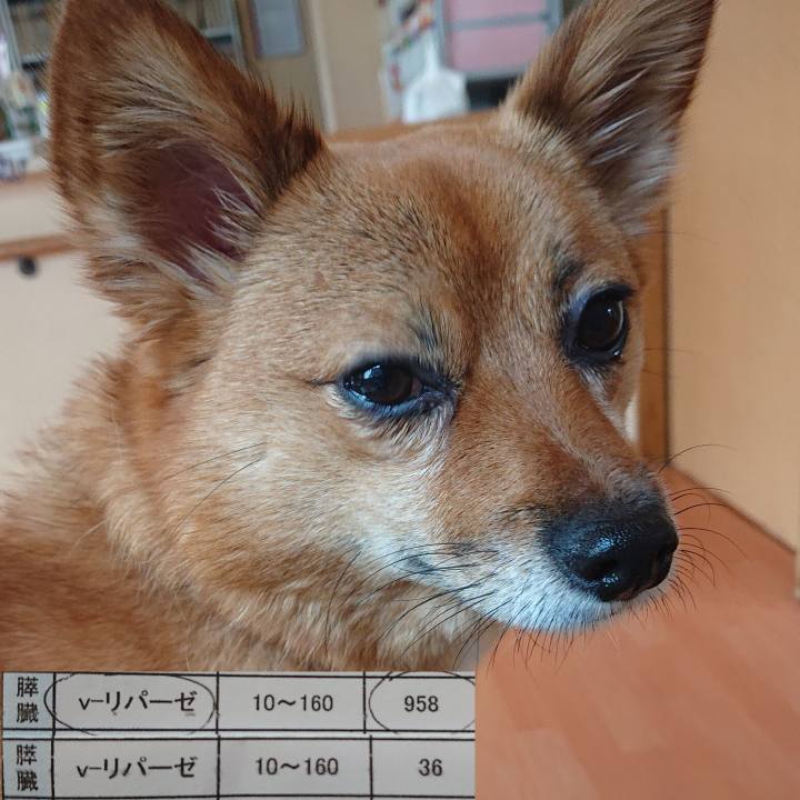 35142057 e795 4bd3 9ddc 6da18b8d1e61 1561434675661