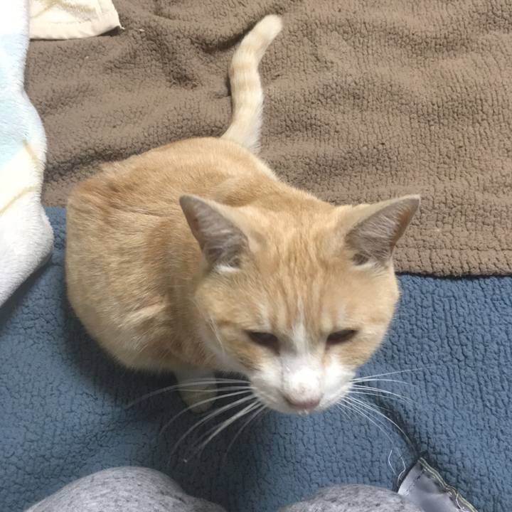 351420b2 e4f3 43e7 a90d 1cf8ab58c367 1546257407115