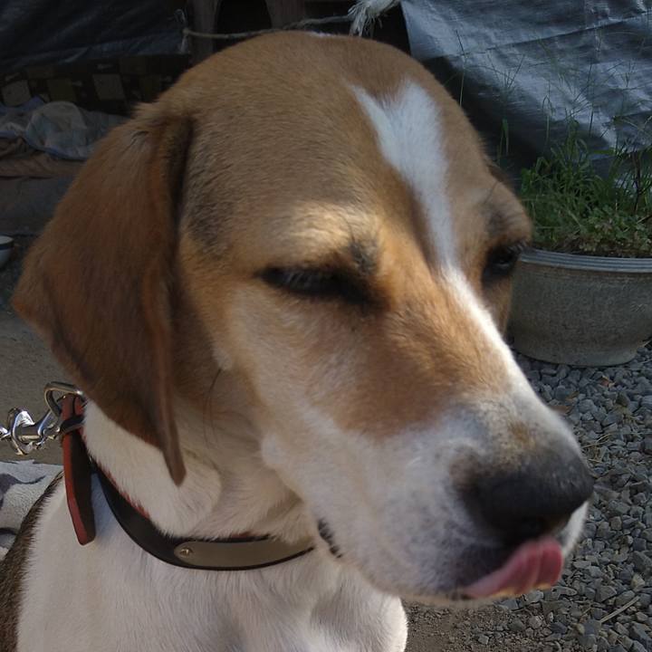 35142563 2be3 450a a21f a9f83e3d1ff2 1633251364192